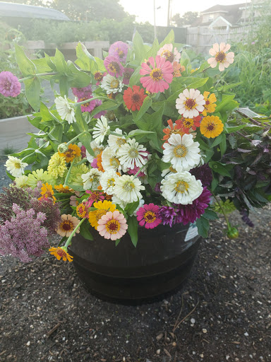 Park «Centennial Park», reviews and photos, 1 E Centennial Ave, Roosevelt, NY 11575, USA