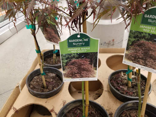 Supermarket «ALDI», reviews and photos, 8808 Belair Rd, Nottingham, MD 21236, USA