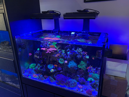 Tropical Fish Store «Tropical Pet Oasis», reviews and photos, 10218 Progress Ln, Parker, CO 80134, USA