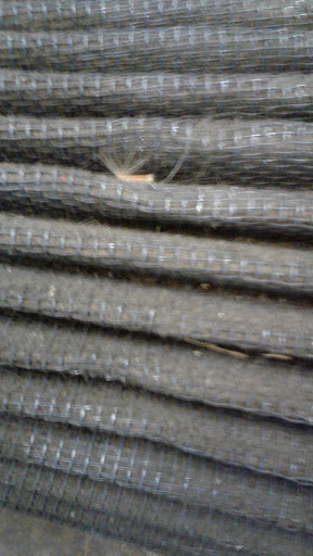 Used Car Dealer «King Auto Sales», reviews and photos, 20210 Morton Rd, Katy, TX 77449, USA