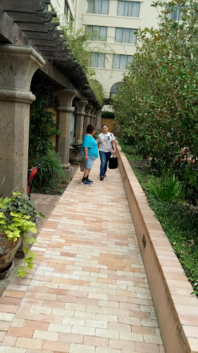 Hotel «Hotel Encanto de Las Cruces», reviews and photos, 705 S Telshor Blvd, Las Cruces, NM 88011, USA