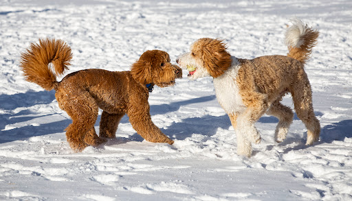 Park «Broadmoor Valley Park», reviews and photos, 3750 Broadmoor Valley Rd, Colorado Springs, CO 80906, USA