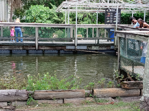 Tourist Attraction «IMAG History & Science Center (formerly Imaginarium Science Center)», reviews and photos, 2000 Cranford Ave, Fort Myers, FL 33916, USA