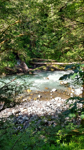 Tourist Attraction «Melmont ghost town», reviews and photos, Carbon River Rd, Carbonado, WA 98323, USA