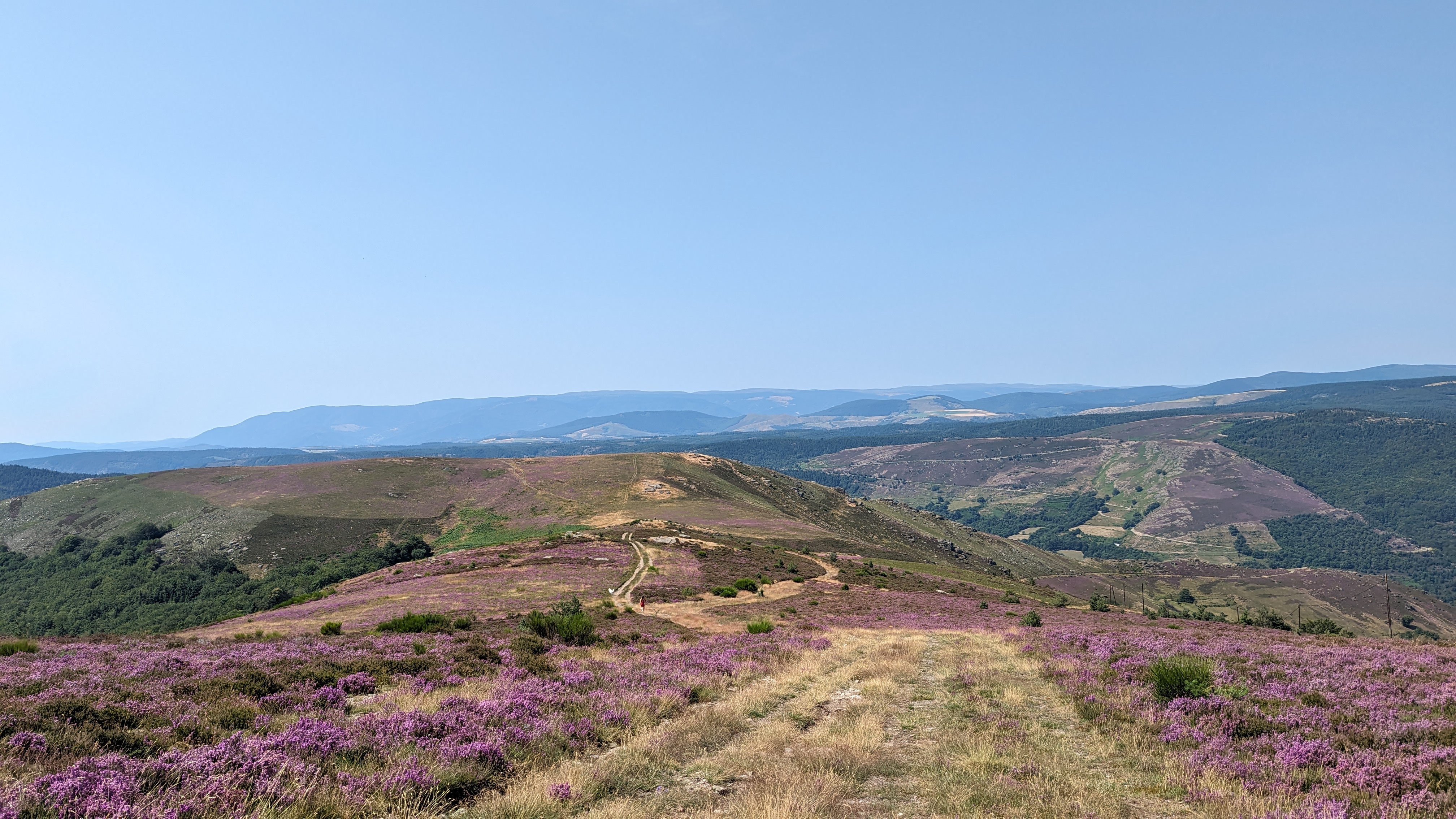 Photo n° 5 de l'avis de Yannis. fait le 31/07/2023 à 16:36