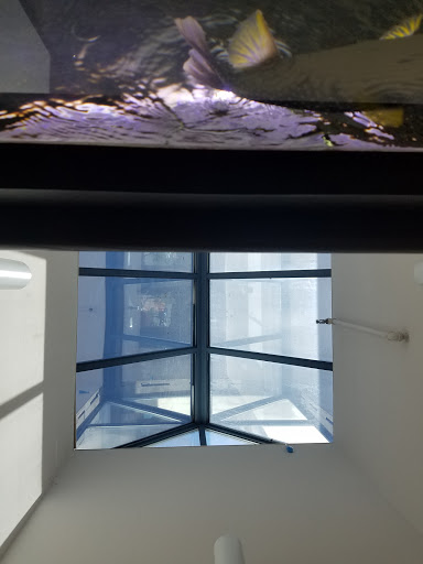 Ford Dealer «Folsom Lake Ford», reviews and photos, 12755 Folsom Blvd, Folsom, CA 95630, USA