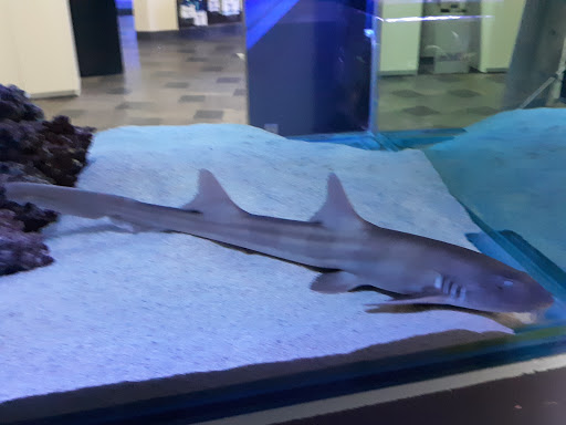 Aquarium «Aquatica», reviews and photos, 800 Clanton Rd H, Charlotte, NC 28117, USA