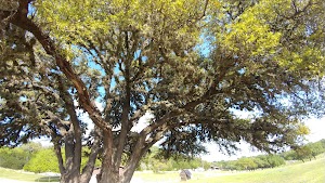 Temple Lake Park - photo 47