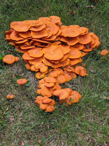 Park «Hawthorn Park», reviews and photos, 6195 Sunny Spring, Columbia, MD 21044, USA