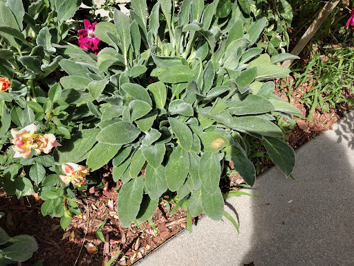 Farm «Pope Farms Produce & Garden Center», reviews and photos, 6501 W 28th St, Greeley, CO 80634, USA