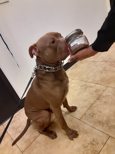 Pet Supply Store «North Tampa PET DEPOT», reviews and photos, 16033 Tampa Palms Blvd W, Tampa, FL 33647, USA