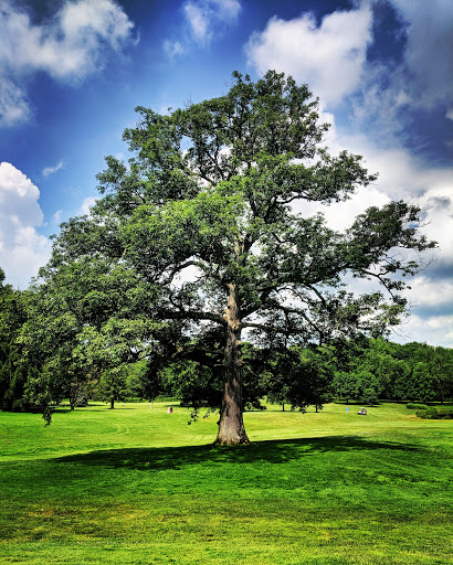 Golf Course «Deer Creek Golf Course», reviews and photos, 7691 E Liberty St, Hubbard, OH 44425, USA