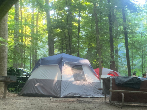 Burke Lake Campgrounds