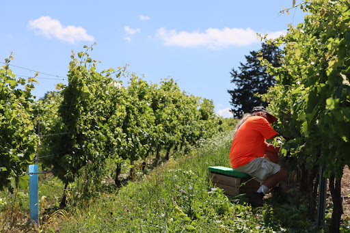 Winery «Glorie Farm Winery», reviews and photos, 40 Mountain Rd, Marlboro, NY 12542, USA