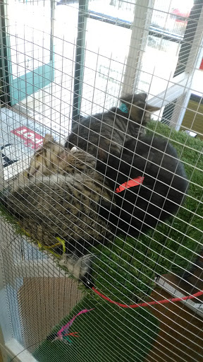 Pet Store «Katie’s PET DEPOT®», reviews and photos, 1941 Foothill Blvd, La Verne, CA 91750, USA