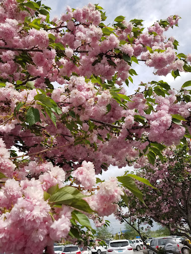 Department Store «Walmart Supercenter», reviews and photos, 2988 Burkesville Rd, Columbia, KY 42728, USA