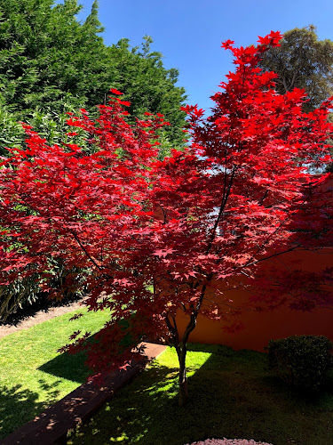 Avaliações doSograma em Cascais - Jardinagem