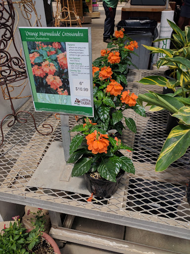 Produce Market «Didier Farms», reviews and photos, 16678 Aptakisic Rd, Lincolnshire, IL 60069, USA