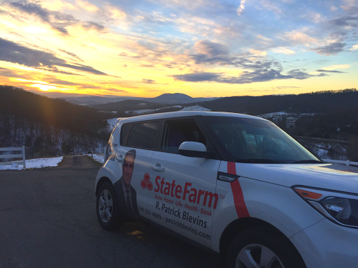 Insurance Agency «Patrick Blevins - State Farm Insurance Agent», reviews and photos