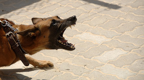 Attorney «The Carlson Law Firm», reviews and photos