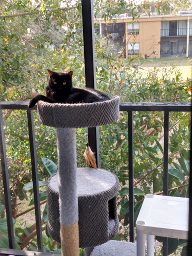 Pet Supply Store «Petco Animal Supplies», reviews and photos, 5120 E Bay Dr, Clearwater, FL 33764, USA