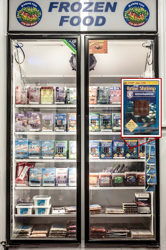 Tropical Fish Store «Premier Aquatics», reviews and photos, 1801 Roswell Rd, Marietta, GA 30062, USA