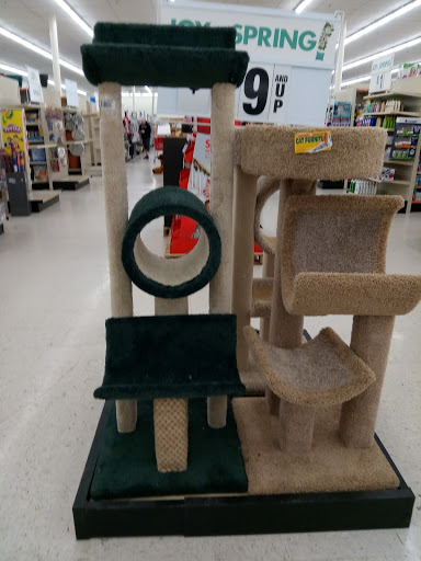 Discount Store «Big Lots», reviews and photos, 2853 Central Dr, Bedford, TX 76021, USA