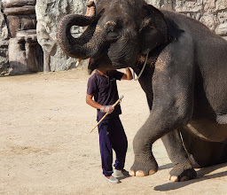 Hua Hin Safari & Adventure Park photo