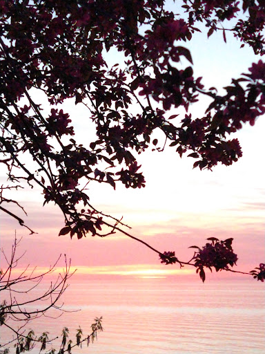 Park «Gratiot Park», reviews and photos, NY-5 & Point Dr W, Dunkirk, NY 14048, USA