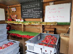 Earth Produce - Berry Farm & Ice Cream