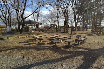 伊佐沼公園