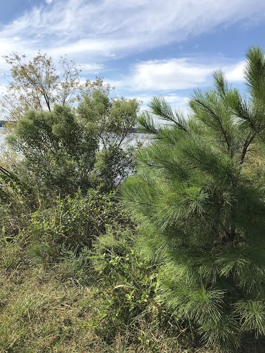 Park «Lakefront Park», reviews and photos, Viewpointe Dr, Locust Grove, GA 30248, USA