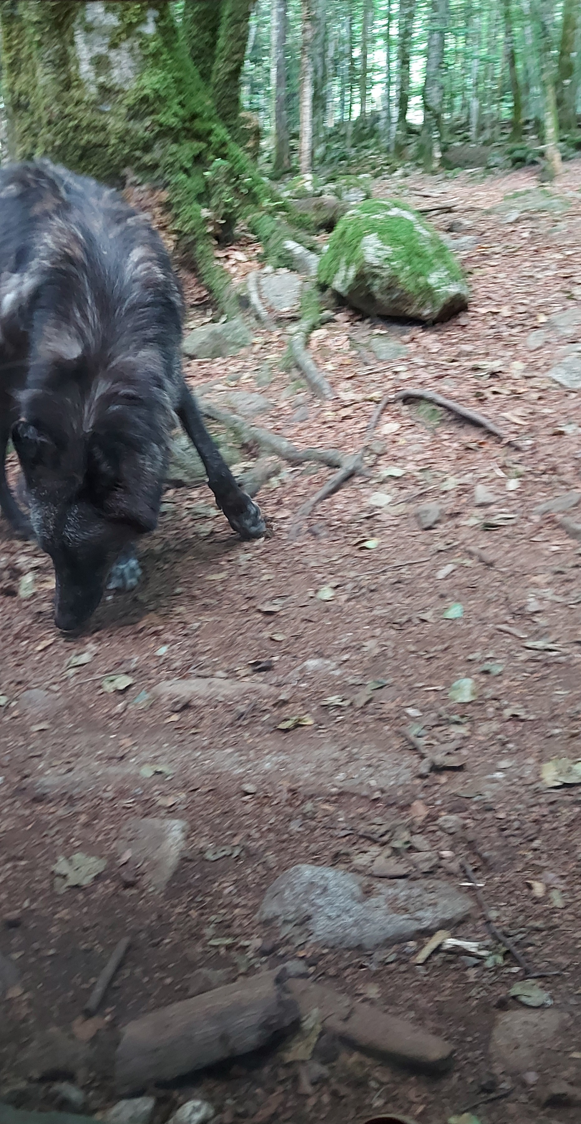 Photo n° 1 de l'avis de Alain.e fait le 13/07/2023 à 16:27