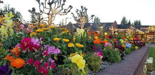 Shopping Mall «Pavilions Shopping Center», reviews and photos, 563 Pavilions Ln, Sacramento, CA 95825, USA