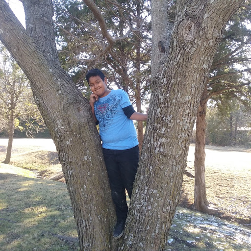 Park «Park», reviews and photos, 300 W Wheatland Rd, Dallas, TX 75232, USA