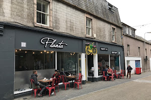 Planta Cafe & Eatery
