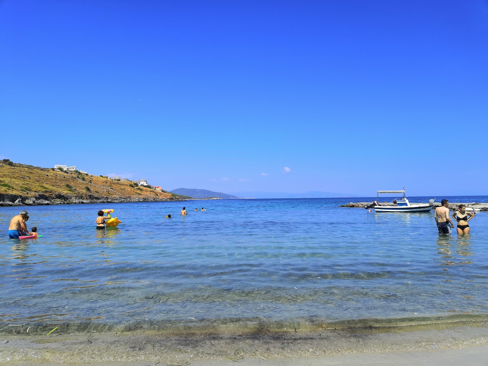 Aegina Maris photo #8