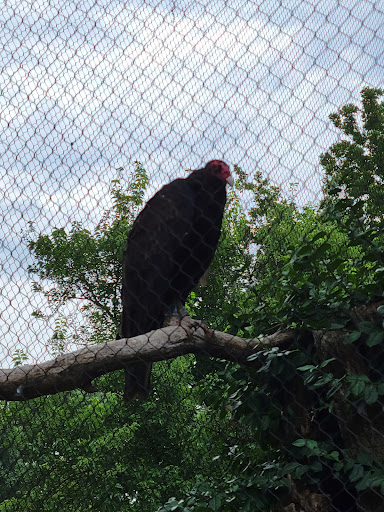 Zoo «Kansas Wildlife Exhibit», reviews and photos, 600-630 Nims N, Wichita, KS 67203, USA