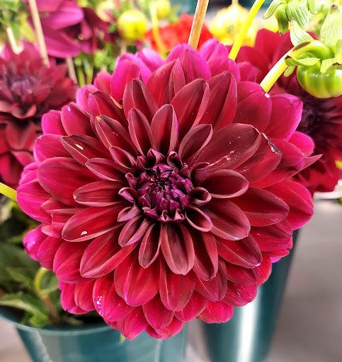 Florist «Skyway Creations», reviews and photos, 1407 S 8th St, Colorado Springs, CO 80905, USA