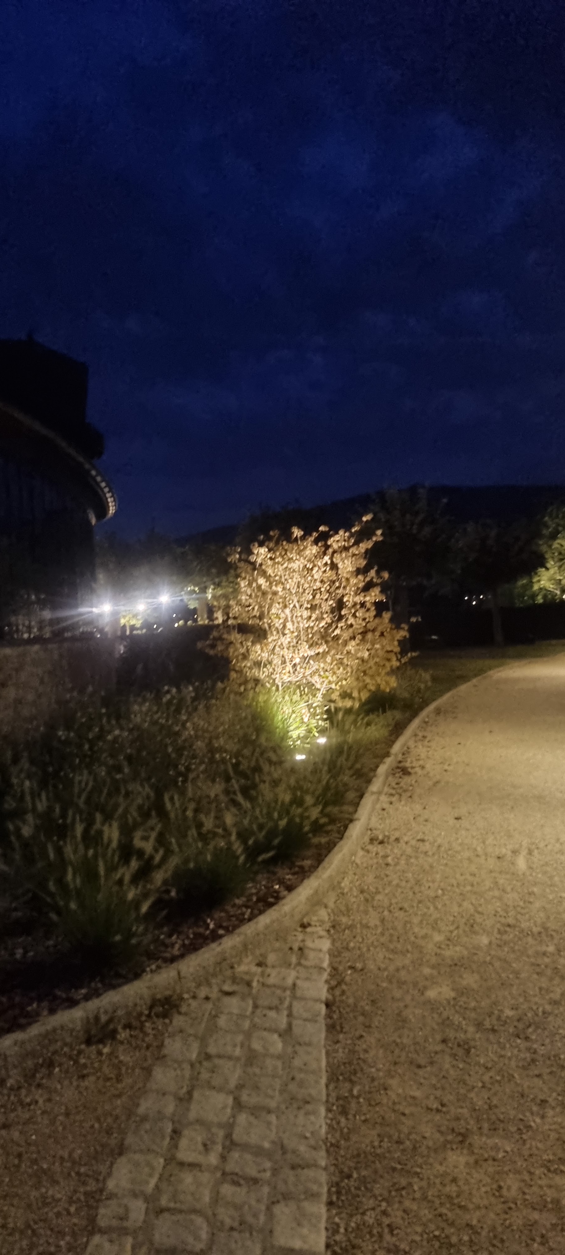 Photo n° 1 de l'avis de VANDA. fait le 18/08/2022 à 17:43