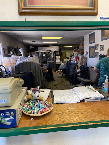 Singing Scissors Pet Grooming