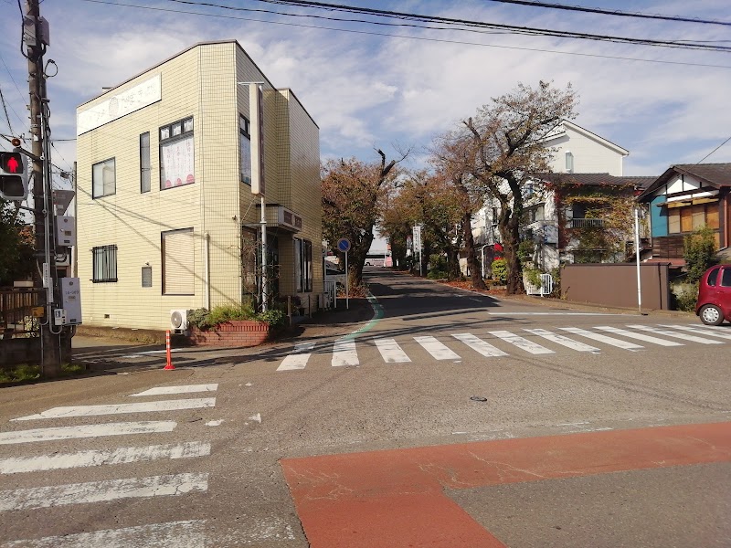 武蔵高萩駅前の桜並木