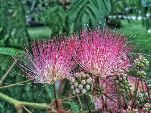 Golf Club «The Golf Club at South Hampton», reviews and photos, 315 S Hampton Club Way, St Augustine, FL 32092, USA