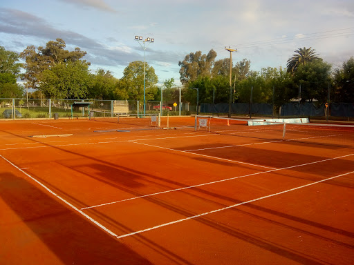 Club Deportivo Ibarlucea De Tenis