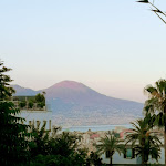 Photo n°2 de l'avis de Marina.' fait le 05/07/2021 à 18:54 sur le  La Terra Degli Aranci à Naples