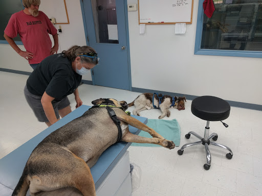 Fort Davis Veterinary Services image