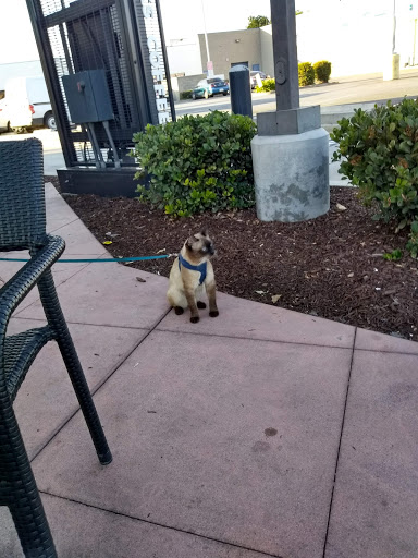 Coffee Shop «Starbucks», reviews and photos, 11979 Garvey Ave, El Monte, CA 91732, USA