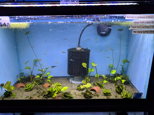 Tropical Fish Store «Aquarium Co-Op», reviews and photos, 9661 Firdale Ave, Edmonds, WA 98020, USA
