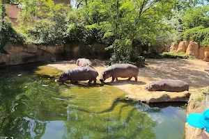 Parkhaus Erlebnis-Zoo Hannover image