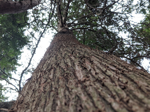 Historical Place Museum «Historic New England Governor John Langdon House», reviews and photos, 143 Pleasant St, Portsmouth, NH 03801, USA